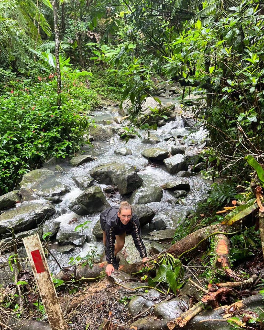 エリーゼ・メルテンスさんのインスタグラム写真 - (エリーゼ・メルテンスInstagram)「Hiking in the rainforest 💚💦🍃 #puertorico」11月22日 18時57分 - mertenselise