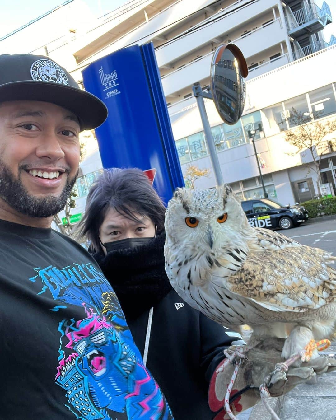 タウラ・フィフィタのインスタグラム：「My new friend delivered a letter🧙🏽‍♂️」