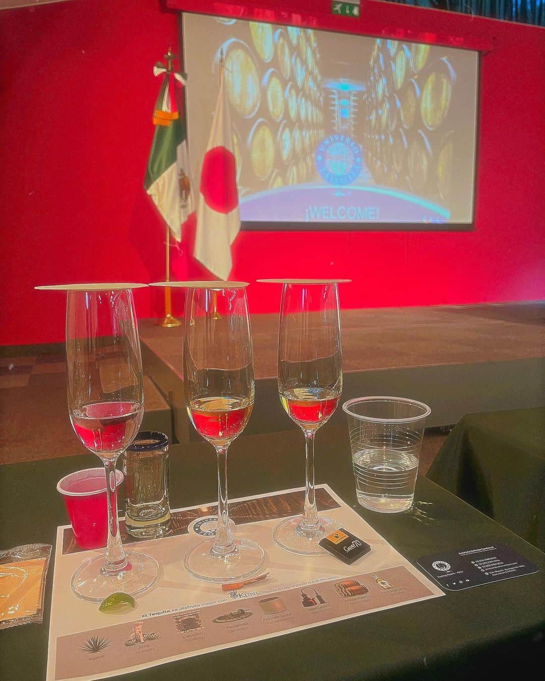 IVANさんのインスタグラム写真 - (IVANInstagram)「@embamexjp  @universotequila   『TEQUILA EXPERIENCE – テキーラの香りと風味を発見する感覚的なテイスティング』イベントへいってきたよ🇲🇽💐🌵🫧🍸🥃🥂🍫  「テキーラ」 日本で有名な皆が知るあの、 テキーラのイメージってやっぱりあまり良くなくて、出てくると飲みたくない！ってなるよね… でも、実は奥深い歴史あるメキシコの自慢のお酒なんだ☺️  分かりやすく説明すると日本酒やワイン同様、 沢山の種類があって、ただ罰ゲームやノリの 一気飲みするアレではなく、アガベ100%の純粋なテキーラは美味しいお食事とペアリングしてゆっくり嗜む飲み物で、美味しく美しい飲み方もメキシコではするんだ😌  そんな品のある美味しい飲みやすいテキーラが日本でも浸透して行けば素敵だなと思う次第です。 ママがメキシコ人の私にはこの飲み方の方が馴染みがあって広めたいなと。 ご招待頂き 昨日日本ではまだ未発売のテキーラのお披露目試飲会で 品が良く普段飲むことの出来ない何ランクも上のテキーラを味わえる機会を頂きました😋🍸🥃🥂🍫  サラサラ飲みやすく焼ける感覚もキツさもクセも無く 優しくマイルドかつ、変に酔わないチョコレートにも合う 本当に美味しく楽しかったな〜🥰🩷  小さい頃から母に付き添い定期的に行っていた メキシコ大使館に大人になり、こういった形で改めて1人で 行けるようになってとっても嬉しかった。 1人ではいるのが怖くて泣いてたお手洗いがやけに狭く、小さくて優しい場所に感じたよ♡ いつか私がママに教わったレシピでメキカン小料理屋を開く時の為の宝探しの巻✨🤫  Muchísimas gracias por la invitación ✨💫  #universotequila #メキシコ大使館#テキーラ#PR」11月22日 19時03分 - fresanaca