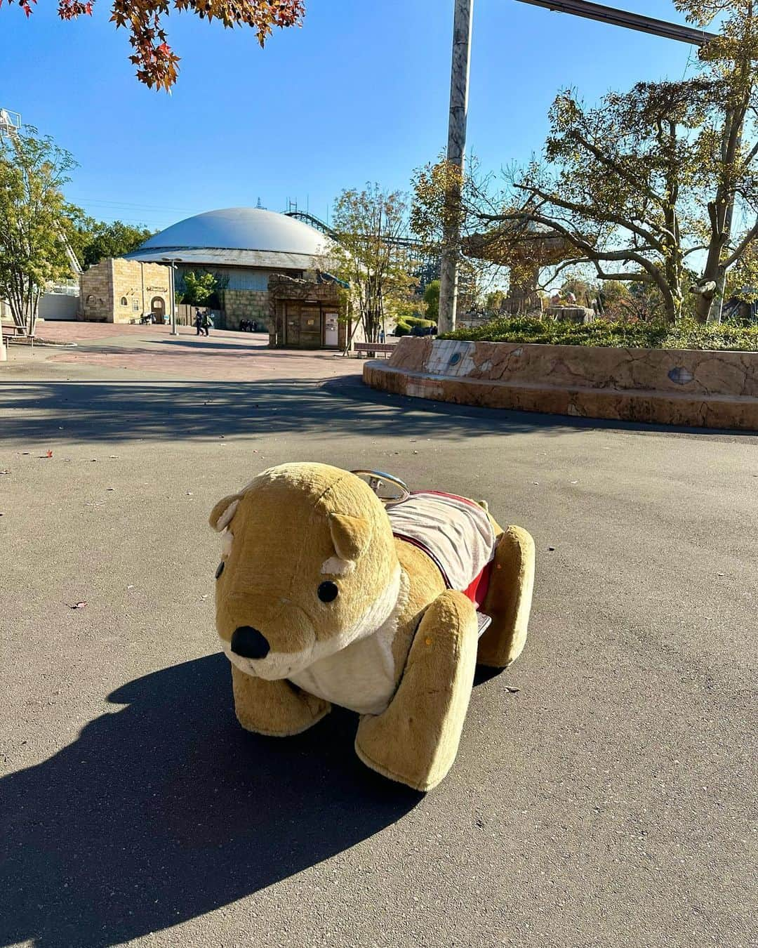 miho uesugiさんのインスタグラム写真 - (miho uesugiInstagram)「はじめての #東武動物公園 🦦 ㅤㅤㅤㅤㅤㅤㅤㅤㅤㅤㅤㅤㅤ ㅤㅤㅤㅤㅤㅤㅤㅤㅤㅤㅤㅤㅤ 遊園地も動物園も一気に楽しめる！ 広くて人通りも少なく、動物たちをゆっくり観察することが出来てすごく良かった…！！ また絶対来たい！！  ㅤㅤㅤㅤㅤㅤㅤㅤㅤㅤㅤㅤㅤ ニットとスカートは発売中のKastaneです🚶  ㅤㅤㅤㅤㅤㅤㅤㅤㅤㅤㅤㅤㅤ  ㅤㅤㅤㅤㅤㅤㅤㅤㅤㅤㅤㅤㅤ  #動物園#遊園地#動物園コーデ#ニット#スカート#マフラー#ベスト#ブーツ#モノトーン#モノトーンコーデ#porter#caban#sorel#montbell ㅤㅤㅤㅤㅤㅤㅤㅤㅤㅤㅤ#Kastane#Kastane舞浜#Kastane_ootd#骨格ウェーブ#イエベ春#コーディネート#今日のコーデ#コーデ#大人カジュアル#カジュアル#30代ファッション#30代コーデ#カスタネ#低身長#低身長コーデ」11月22日 19時39分 - uepoooning