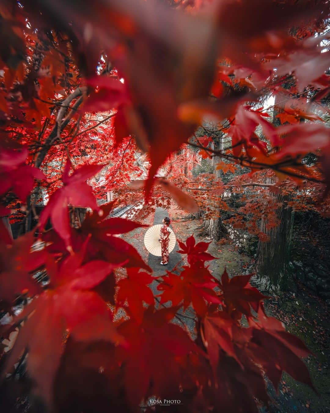 コサさんのインスタグラム写真 - (コサInstagram)「初めましての「清水寺/せいすいじ」の紅葉  ファーストショットから9mmの超広角でぶっ飛ばしました👍 紅葉の具合をこまめに更新してくれてた @eririn1502 さんありがとうございます🙇‍♂️ . Location:和歌山 Wakayama /Japan🇯🇵 Date:2023年11月 in frame: @chami_2nd Camera:Z9 / LAOWA 9mm F5.6 W-Dreamer SpecialThanks: @eririn1502  . #みんすと紅葉祭 #nikoncreators #nikoncreators_2023morningandnight #japancityblues #jp_portrait_collection #ポトレファン倶楽部 #ポトレ撮影隊 #jp_mood #jp_portrait部 #clv_galerie #暗がり同盟 #m_v_shotz #Rox_Captures #japan_waphoto #deaf_b_j_ #mf_landscape #invisible_cool_part #Lovers_Nippon #じゃびふる #raw_japan #tokyocameraclub #aridagawa_pic #jgrv_member #team_jp_ #photo_jpn #sorakataphoto #LBJ_KING #清水寺 #広がり同盟メンバー #special_spot_legend」11月22日 19時37分 - kosa_photo