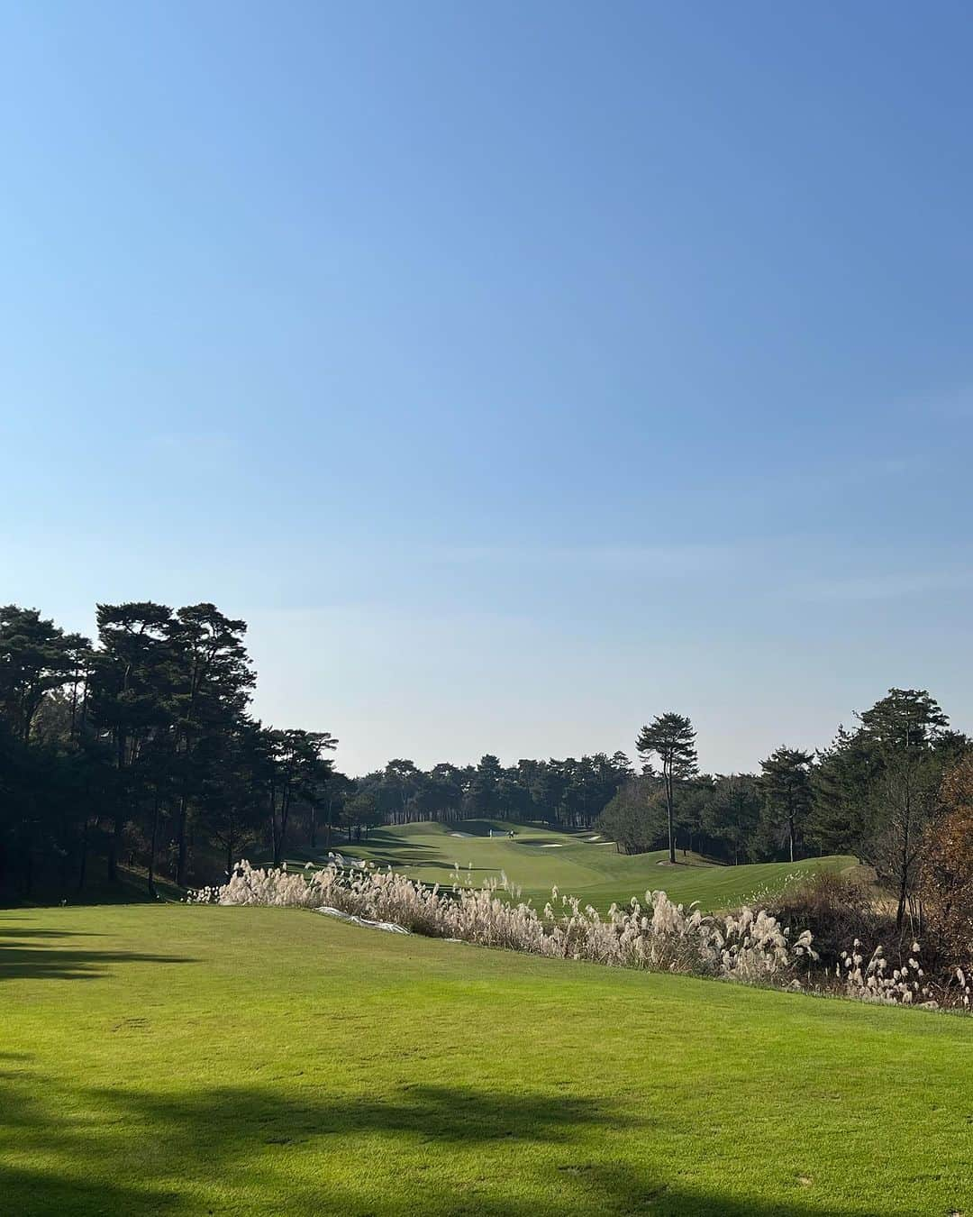 ジョン・ジェウンのインスタグラム：「. 날씨도 너무 따뜻하고 오랜만에 온 해슬리는 역시나🤎  #golf #haesley #haesleyninebridges #해슬리나인브릿지」