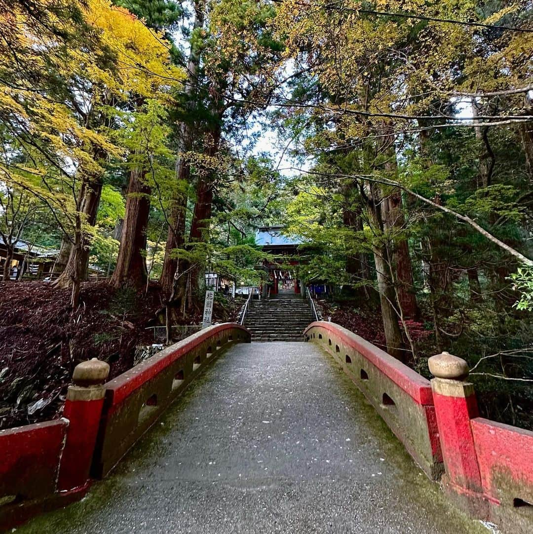 KATSUMIさんのインスタグラム写真 - (KATSUMIInstagram)「昨日のことですが…  北茨城の『花園神社』に行ってきまして⛩️  ここは是非一度行きたいと思っていた神社ですが、なかなかに距離があるので仕事とのタイミングが合う時に…と後手後手になっていたのでした。が、昨日がどうやらその日だったようで、そして…もしかして🍁も！なんて期待もしつつ（まだ早いようでしたが）決行してきた次第🚗  日立駅から高速使っても片道1時間。生放送迄に戻る計画で何とか無事にお参りに行けたのでした。  初めて花園神社の写真を見たときに（特に河原ですが）、何度も通った宮崎県高千穂の「天の岩戸神社」の雰囲気を感じたりしていたのでこれは行かねばと😃  そして、行ってみると花園神社は徳川幕府とも所縁があったということで東照宮の祠もあったり…大河ドラマ「どうする家康」を観ている身としてはこれまたタイミング良く🙏  この辺りは紅葉が綺麗な渓谷もあり、シーズンとなるともっともっと紅葉🍁してきます。  河原の水の流れる音がずっと聴こえているので、それが僕にはどうやら琴線が鳴る一番のポイントのようでした😆色々と納得しながらの帰り道でした。  とにかく渓谷沿い…が好きなんでしょうねぇ。 ふむ。  福島県隣の北茨城市も自然が溢れて素敵な空気感の場所です。良かったら是非いらっしゃって下さいね🙇‍♂️  #katsumi  #茨城県  #北茨城  #北茨城花園神社」11月22日 19時53分 - katsumi_unfading