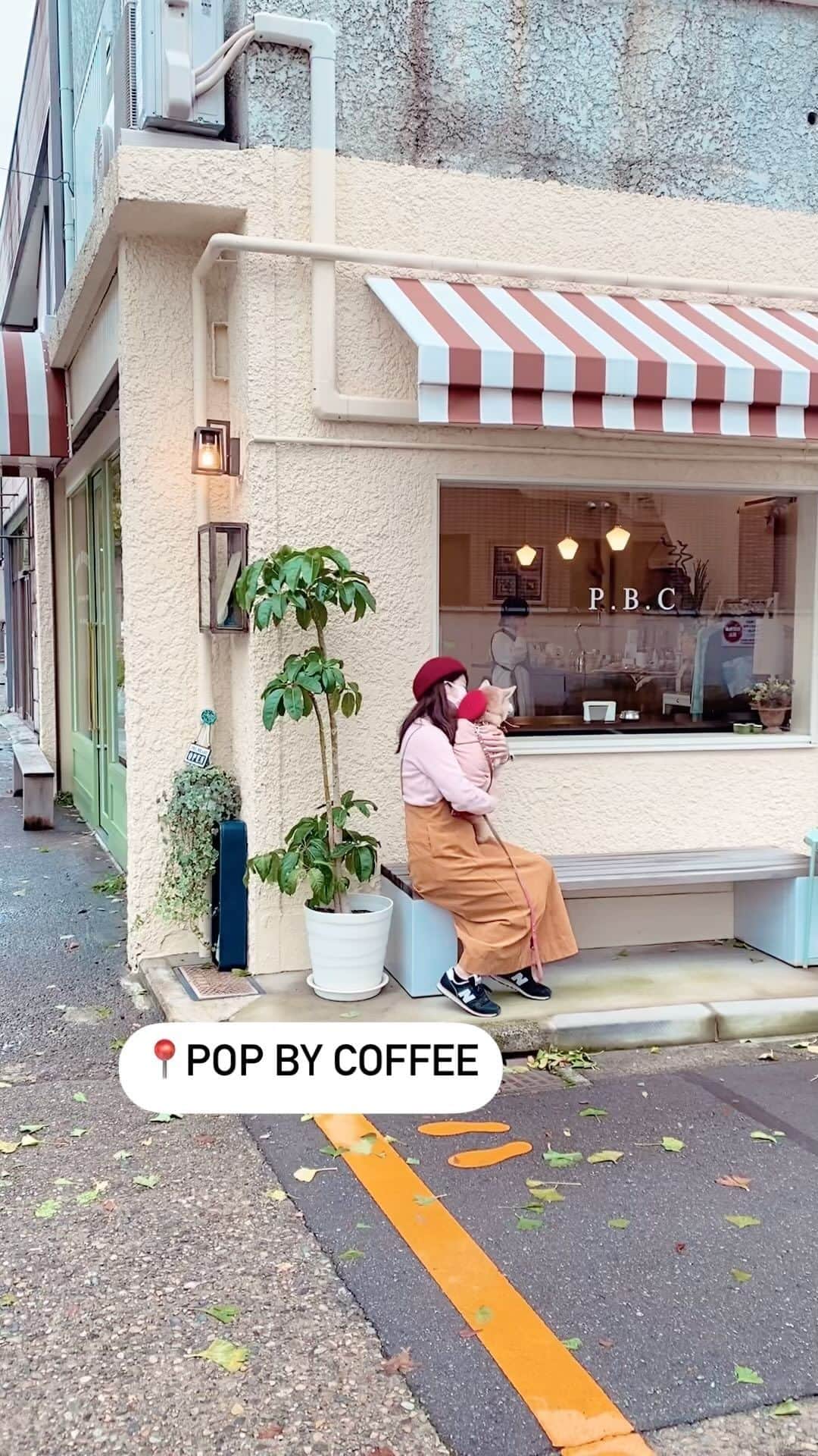 柴犬 けんしろう ゆりあのインスタグラム：「🐶☕️  秋の金沢をぶらゆりあ🐾 〜POP BY COFFEE 〜  この日の金沢は時折小雨の降る 肌寒い1日だったので、あったかい店内は ゆりあも私たち姉妹もほっとひと息つける cafe timeとなりました☕️  おいしいサンドとスイーツ&コーヒー 大きな窓から眺める街の風景 流れる心地よい音楽 私たちの住む街にも こんな素敵なcafeがあったらいいなぁ。  ゆりあさんは居心地良すぎて 毎回スヤスヤ寝てそう笑。  いつも金沢へ出かける時は 午前中に行きたいところを巡って さっと帰る、が、お決まりだったのですが (何しろガクけんゆり連れの時もあったので！) 今回は夕方までたっぷり楽しむことができました。 姉妹でこんな風に散策したのは高校生以来かも？  お姉ちゃん、誕生日のお祝いに cafeごちそうしてくれてありがとう♡ クリスマスリース作りや アドベントカレンダーの飾りつけにも感謝！  #popbycoffee #cafe #coffee  #kanazawa」