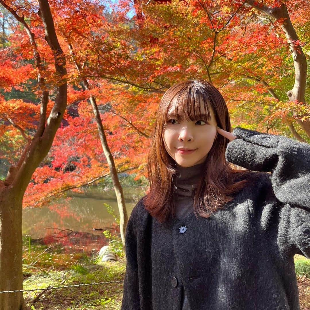 蒼山幸子のインスタグラム：「秋が戻ってきた日だった。🍁 週末はとても寒いらしい。 冷え性ですでにここ最近の夜などは 手足がアイスノンくらいには冷たくなっているので、 身構えています。」