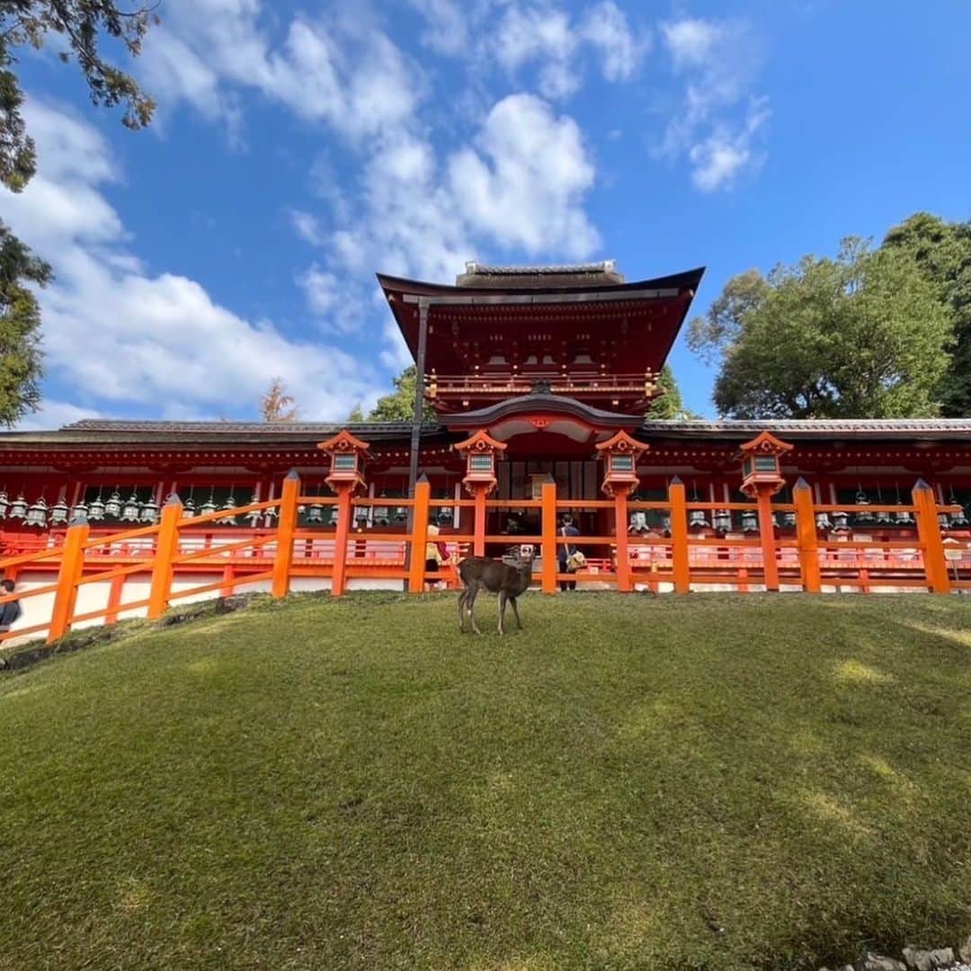 賀来千香子さんのインスタグラム写真 - (賀来千香子Instagram)「こんばんは✨ 明日、11月23日(木) 夜9時からBS朝日で放送の、 『あなたの知らない京都旅〜1200年の物語〜』  テーマは、 「京都と繋がる奈良の国宝」です。 　 今回私は、奈良に行って来ました✨  世界遺産登録２５周年を迎え、今注目の“奈良”！ 実は奈良を巡ると、京都のことがより深く分かり、ますます京都の旅が楽しくなると言います。  奈良を代表する神社、春日大社は京都で栄華を極めた「ある一族」と深い繋がりが！ その事を示すのが、本殿のそばの藤の木という事で、それは一体･･･？  奈良のシンボル、五重塔がそびえる興福寺では、日本一の人気を誇る国宝の仏、阿修羅像を拝見！ その優しい表情に込められた深い想いとは。 さらに興福寺は清水寺との意外な繋がりが。  古都、奈良の奥深さが分かるのが唐招提寺！ 奈良時代より伝わる千手観音と盧遮那仏（るしゃなぶつ）の圧倒的な姿に、思わず涙が･･･。  およそ1300年もの歴史を誇る薬師寺に伝わるのが、「日本一美しい薬師如来」。 その美しさの秘密とは。 さらに、仏の座る台座から、奈良の都の意外な姿が浮かび上がります。  奈良の国宝を訪ねて、京都を深く知る旅😊🦌  奈良も！京都！も、知れば知るほど、魅力的で深〜い古都だと感じました☺️✨  皆さんにもぜひ！国宝を堪能していただきたいです🌟  最後の画像は、〝春日大社の本殿がある中門の前に鹿🦌がいるのは、かなり珍しい事です‼️〟というお写真で、以前も見ていただきましたが、縁起が良い感じがして、もう一度😊🍀  違いが分かりますか〜⁉️ こっち向いてます〜😉🦌  どうぞ御覧下さいね🌟  #あなたの知らない京都旅〜1200年の物語 #BS朝日 #奈良 #国宝 #春日大社 #興福寺 #五重塔 #阿修羅像 #薬師寺 #唐招提寺 #千手観音 #盧遮那仏 #西山 厚 さん #賀来千香子 #chikakokaku」11月22日 20時58分 - chikako_kaku_official