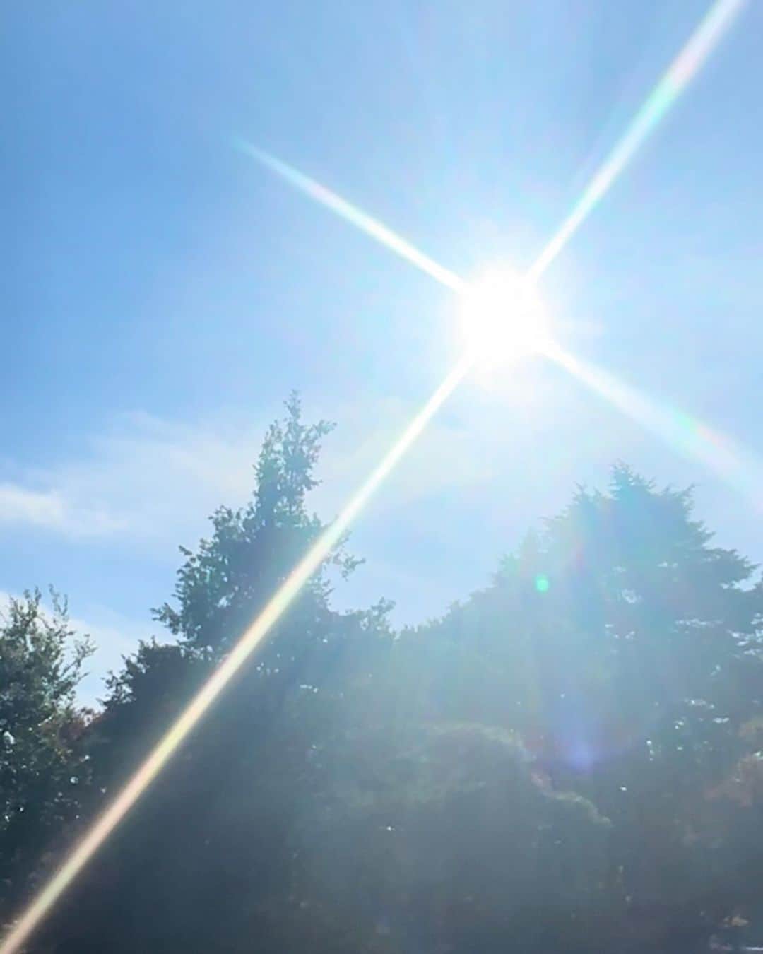 青山あみさんのインスタグラム写真 - (青山あみInstagram)「陽だまりでありたい♡  #energy  #태양 #愛」11月22日 21時20分 - aoam____i
