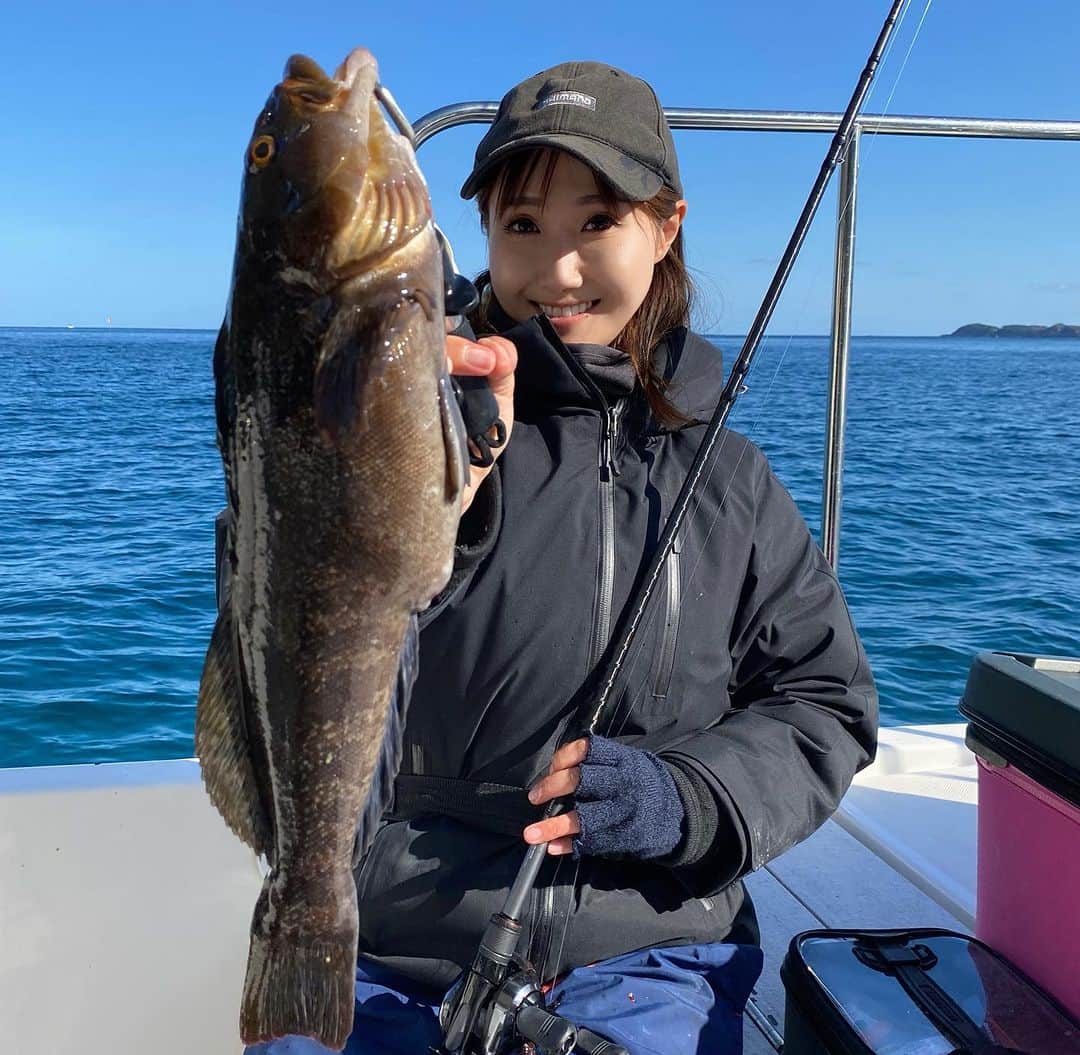 谷田圭（たにけい）さんのインスタグラム写真 - (谷田圭（たにけい）Instagram)「・ ・ ・ ・ ・ 乗り合いボートロック🪨 🔥🔥🔥🔥🔥🔥🔥🔥🔥🔥🔥 ・ ・ ・ ・ 断崖絶壁の岩場の日陰から ズゴンと重みが⚡️⚡️ 47cmのアイナメ。 海が綺麗だから ボトムでワーム食べるところから あがってくるまで、全部見えた😭🔥  もっともっともっともっと狙ったところに ピンポイントでキャストできるようになりたいなあ🔥 いる場所にはいるんだよなあ...と 次なる課題を手に入れたのでまた頑張ります🔥🔥🔥🔥🔥🔥🔥🔥🔥🔥🔥🔥  遊漁船 @pleasures_jp_ocean   @shimanofishing_jp  ロッド・HARDROCKER  XTUNE リール・アンタレスDCMD  @sunline_japan  PE・SIGLON PE×8 1.2号 リーダー・AZEERO船ハリスHARD4号 シンカー28g・ワーム・サイコグラブ黒金  #ボートロック #女川 #プレジャーズ #遊漁船 #fishing #SHIMANO #SUNLINE」11月22日 21時33分 - tanikei.fishing