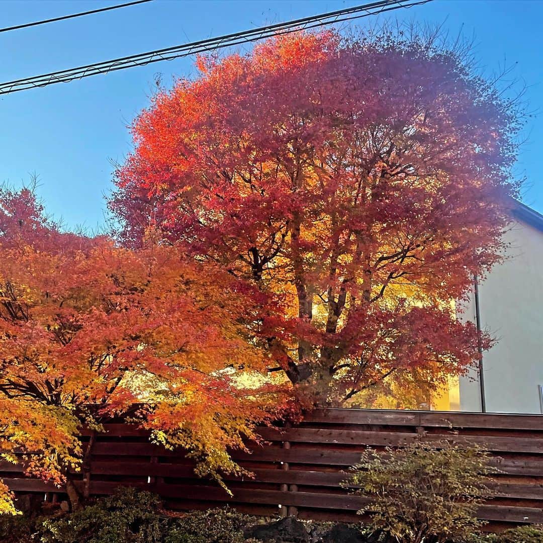 堀内敬子さんのインスタグラム写真 - (堀内敬子Instagram)「撮影。  ロケに行って来ました。  あまりやったことのない、バラエティのロケ  皆さんのおかげで、楽しかったー！  また、お知らせしますー！！  #富士山 #ずーっと富士山を拝めた #紅葉も美しかった」11月22日 21時50分 - horiuchi_keiko
