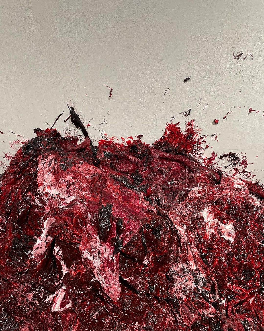 シェンさんのインスタグラム写真 - (シェンInstagram)「Anish Kapoor 今までのカプーア作品のイメージを一転🔴生々しくて衝撃的でした‼️  #anishkapoor #アニッシュカプーア #カプーア #art #現代アート #gyregallery」11月22日 21時53分 - shenshenshenshen