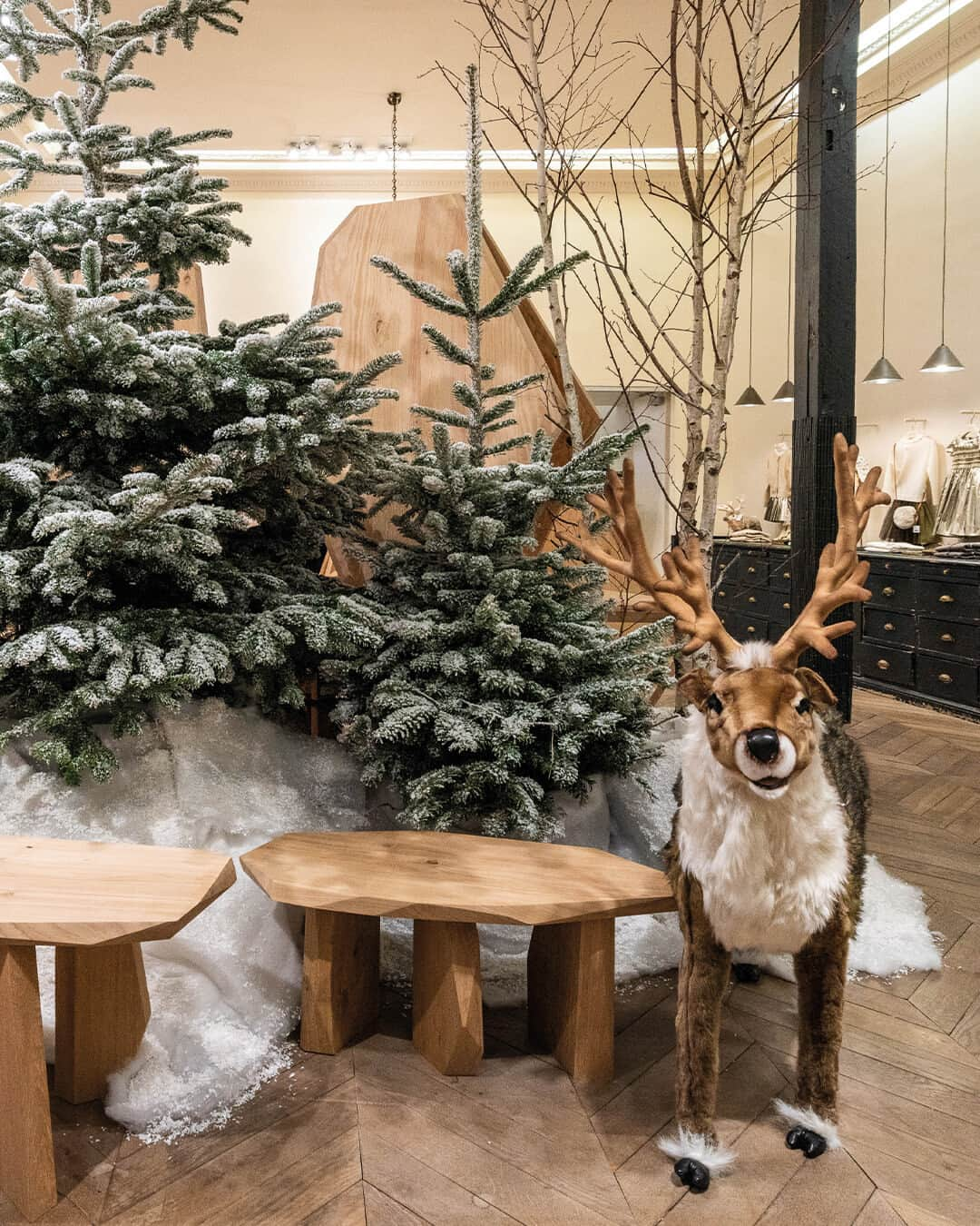 bonpointさんのインスタグラム写真 - (bonpointInstagram)「Bonpoint Holidays | Holiday season ​🦌 Discover our festive pieces for your little ones' grand entrance during the holidays. ​  #Bonpoint #BonpointHolidays」11月22日 22時01分 - bonpoint