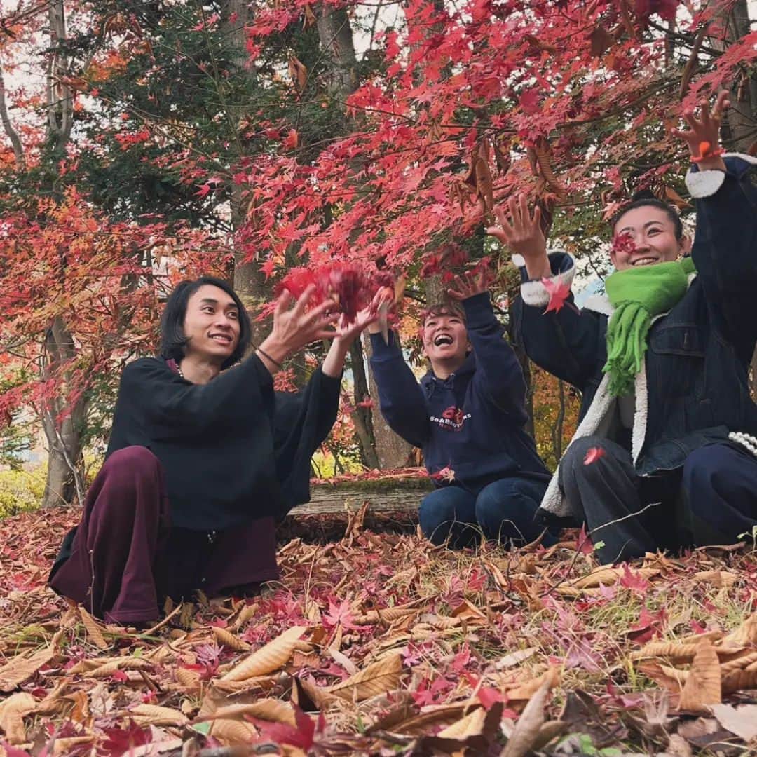 須藤美樹さんのインスタグラム写真 - (須藤美樹Instagram)「11月15日、長野のあゆみちゃんと、鎌倉のヨガ仙人たかとくんと三人で長野旅🚘💨💨💨  この三人でなくてはなからかった意味が後半わかるのでした✨  とっても大好きな前山寺へ💕  たくさん紅葉がお出迎え🍁  こりゃ遊ぶしかないでしょ😂こういうの付き合ってくれる友達達でうれしい😃🎶自然と触れあえるの楽しい～😭  空気美味しいし、天気いいし、最幸‼️  もう序盤からたまらなく楽しい🌟  続く→→→→  #長野 #前山寺 #自然 #紅葉 #もみじ #楽しい #幸せ」11月22日 22時22分 - odorukaiunshi