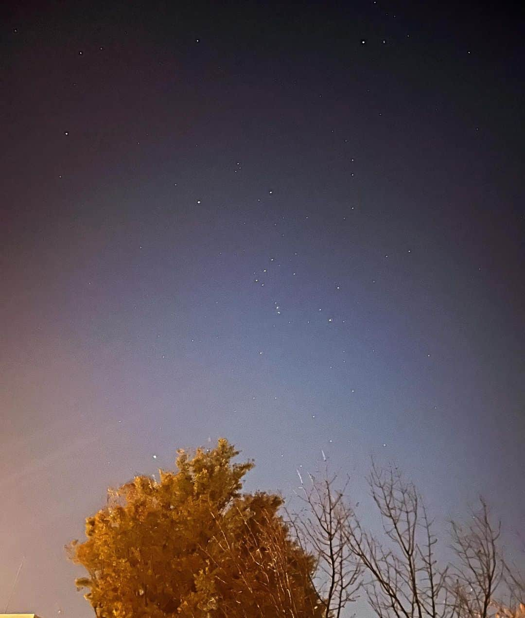 矢井田瞳のインスタグラム：「💫💫💫  「昨日ベランダからすごく綺麗にオリオン座を写せたんだ🪐」  ってインスタにアップしようと思ったけれど、 ん、どこだ！？あ、見つけた☺️  ん？？  目が悪くなってきたー笑 老化、、だけどなんか嫌じゃないけど。☺️☺️  あなたはオリオン座見つけられた？💫  冬の星空、やっぱ好きだなー🌌  #オリオン座 #星空」