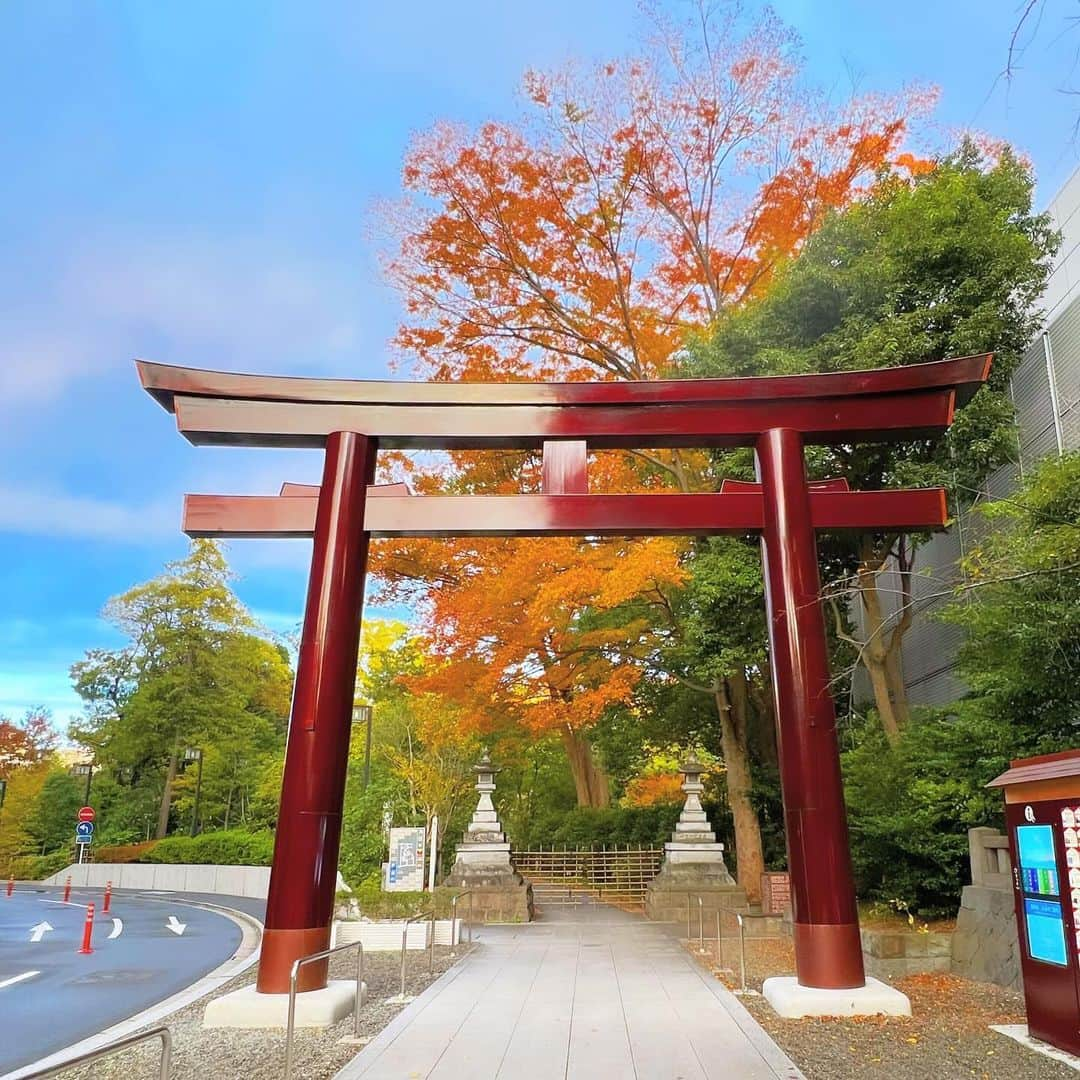 YOKANさんのインスタグラム写真 - (YOKANInstagram)「《OhaYOKAN》  今朝の 原宿表参道は 雨のち曇りのち晴れ…🌤️  生暖かく  雨上がりで 空気の美味しい朝🌅  朝ラン＆ウォークは  お仕事の関係で 短めでしたが快調でした…🏃‍♀️👟  みなさま  笑顔で ステキな勤労感謝の日を…🎌💓🎌  ※今朝の  《YOKAN散歩》  街角アート写真は  神社仏閣シリーズ…⛩️  原宿  『東郷神社：とうごうじんじゃ』  竹下通りの すぐ裏手にあり  明治通り側の入口には  大きな 鳥居と灯籠が見事です…⛩️✨  もうすぐ 東郷記念館の庭園を含めて  紅葉が 見頃になります…🍁  #harajuku #omotesando #tokyo #原宿 #表参道 #morning #朝 #running #ジョギング #朝ラン #walking #ウォーキング #朝活 #OhaYOKAN #YOKAN散歩 #YOKAN #streetart #街角アート #shrinesandtemples #togoshrine #神社仏閣 #東郷神社 #鳥居 #紅葉 #tokyocameraclub #インスタ映え #instagram #笑顔でステキな1日を💓」11月23日 8時19分 - yokanstudio