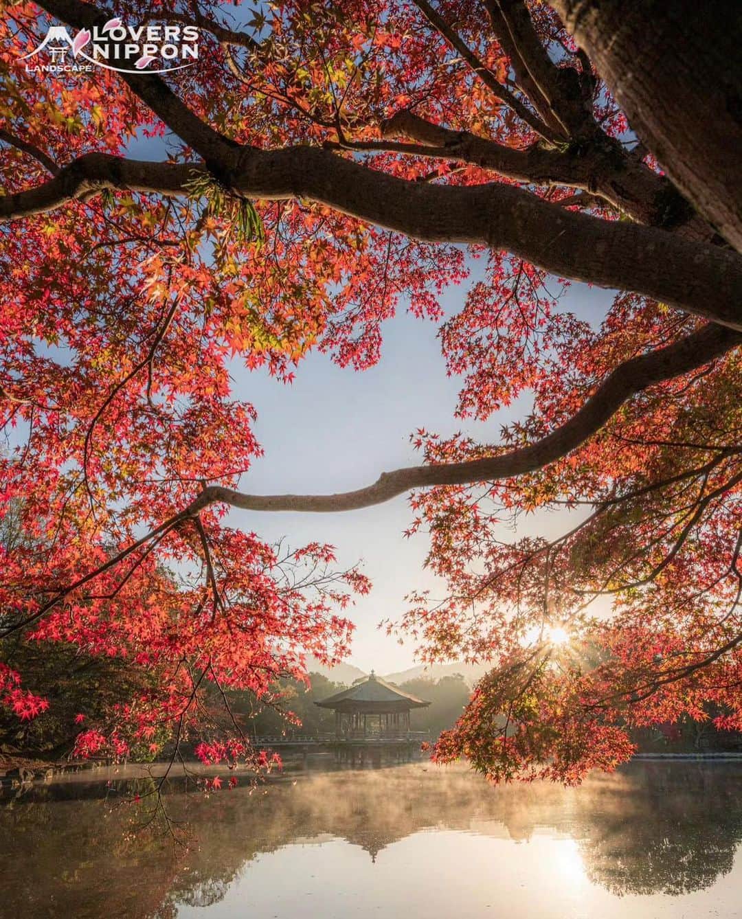 Only Japanese photographsのインスタグラム