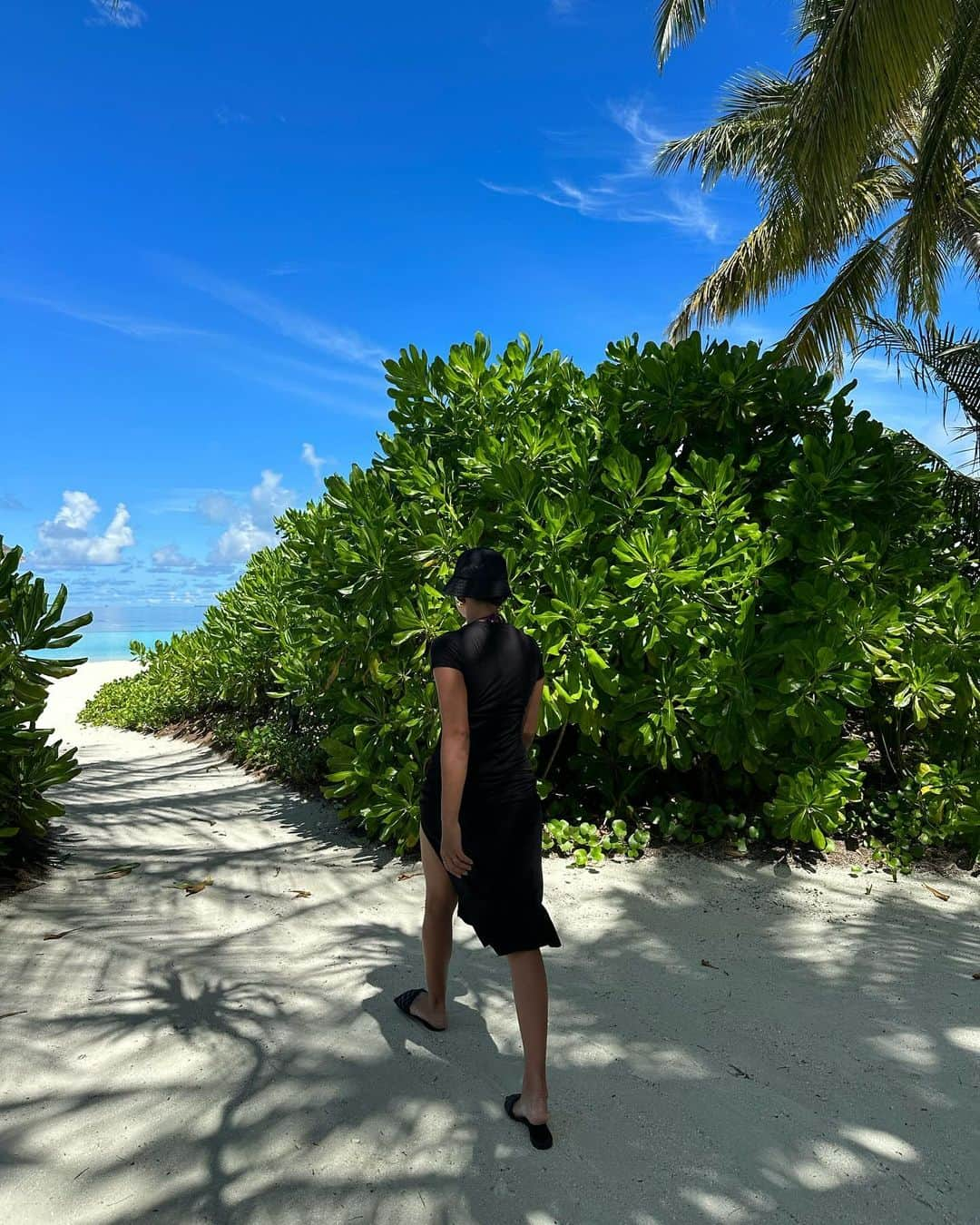 シャニーナ・シャイクさんのインスタグラム写真 - (シャニーナ・シャイクInstagram)「my last days of summer …. in a bucket hat 🫠🤍🌴」11月23日 0時27分 - shaninamshaik