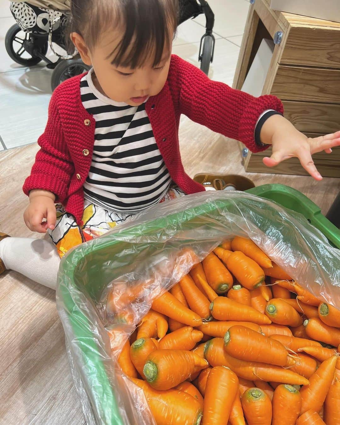 HALCAのインスタグラム：「兵庫県豊岡市でつくられた 有機野菜や人参ジュースを購入したら この規格外の人参もどうぞ〜！と。 股になっていたり、割れていたり、、 いや、むしろ可愛いじゃないか！ ワクワクしながら娘と選びました🥕 お味はもちろん濃くて、土の香りも◎ 毎日美味しくいただいてます！」