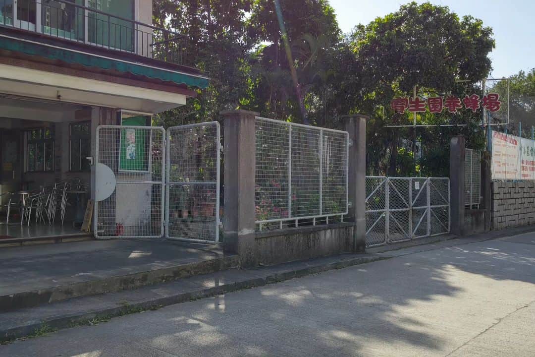 伊藤修子のインスタグラム：「もう日本に帰ってきてしまいましたが沙田と粉嶺の養蜂場も案内していただきました。インファナル・アフェアのロケ地で有名なお寺も体力的に辛かったですが階段を登り切ると清々しかったです。(途中まででいいとか言ってさぼろうとしましたがまた来るかどうかわからないので頑張って登りました。)」
