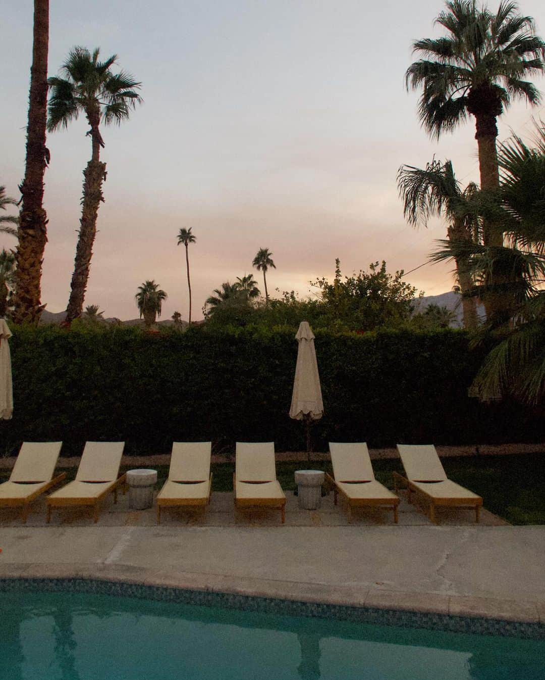ジュリー・サリニャーナさんのインスタグラム写真 - (ジュリー・サリニャーナInstagram)「Palm Springs thangs. 🌴🫶🏽 #palmsprings」11月23日 1時16分 - sincerelyjules