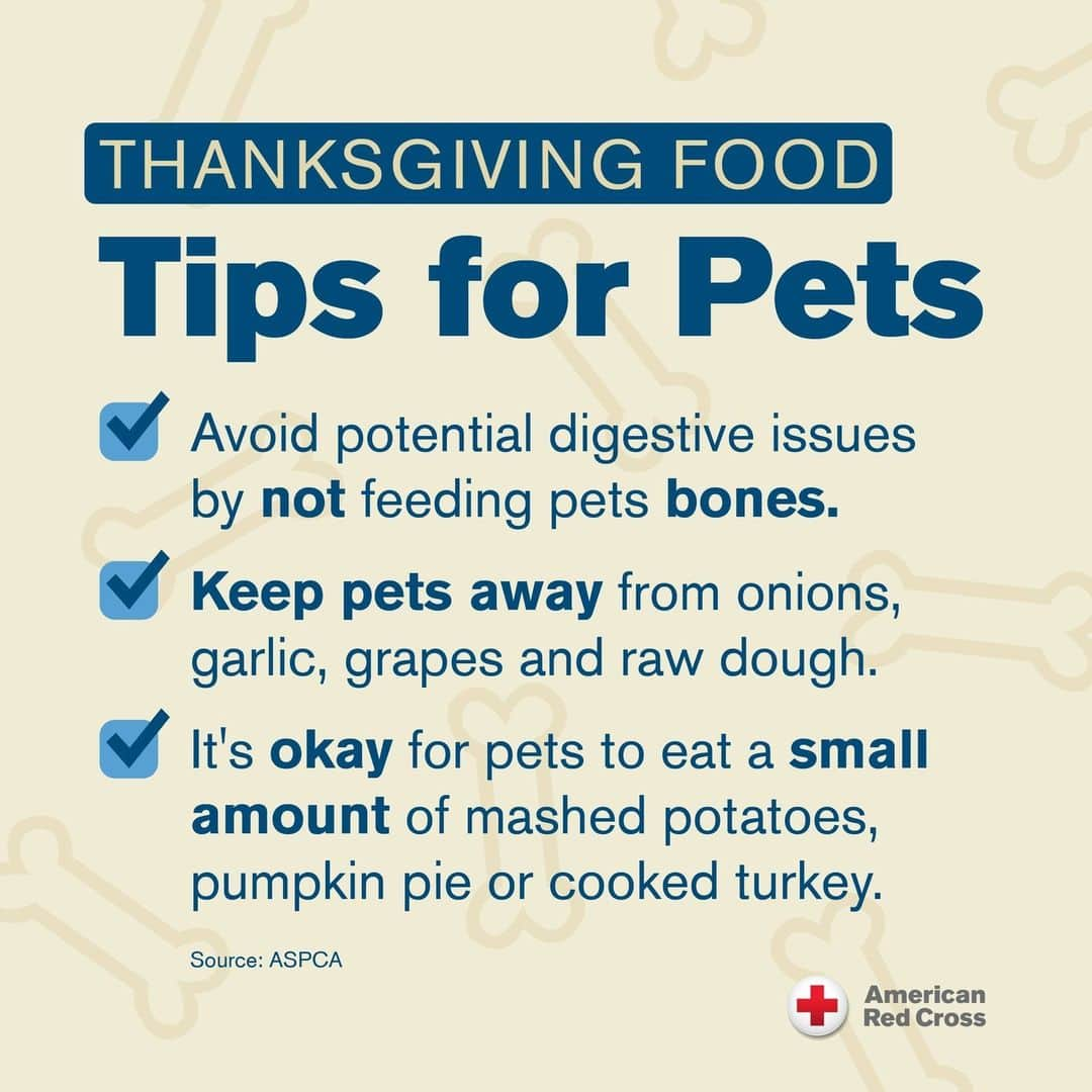 ネーブ・キャンベルのインスタグラム：「Watch those table scraps! 🍗 If you plan to include your pet in the Thanksgiving celebrations, keep this food safety checklist handy. Share this post to your story to spread the word to other pet parents. 📲  #PetSafety #SafetyTips #ThanksgivingDinner #RedCross #Thanksgiving」