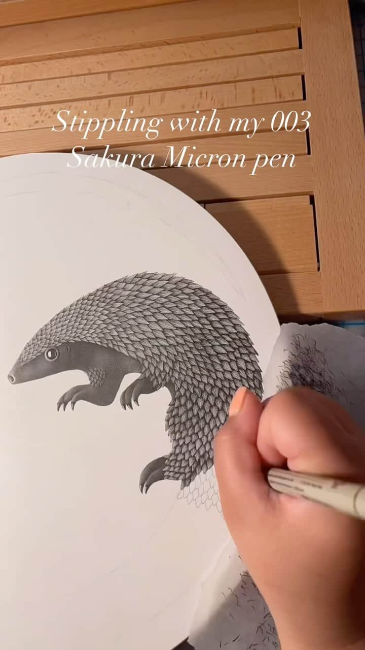 Sakura of America（サクラクレパス）のインスタグラム：「Hello again! @julietschreckinger here, back with another timelapse video of how I use my 003 Sakura Micron pen to create my illustrations! Here I am working on a hot-pressed archival paper, my favorite material to draw on as I find it to have a smooth texture that is good for both ink and graphite, which I commonly use combined in my work. To create this piece, I first used my Sakura mechanical pencil to sketch out my outline on the final paper, and then used my Micron to render the character. I am using the 003 Micron the entire time on this piece, as I wanted this creature’s scales to all be perfectly matching and cohesive.  Working on a unique shape can be a really fun way to play with the composition. Sometimes I will sketch out my concept for the piece, and then lay different cut out shapes over my sketch to see if there is one that makes the concept really come together, and in this case it was a circle. I will then make any changes needed on the original sketch to make it work in the new shape, and jump in with my Sakura pens to complete the piece!」