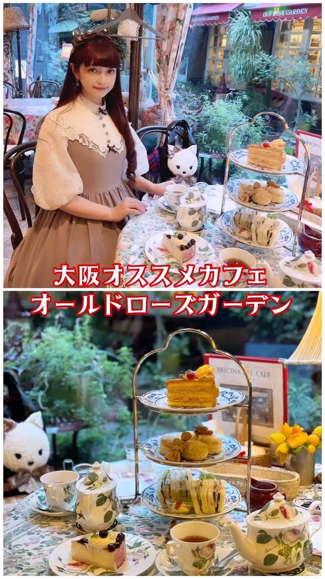 青木美沙子のインスタグラム：「大阪にあるクラシカルロリータに合うカフェをご紹介🍰  美沙子着用のイノセントワールドさんコラボは、 明日11時から一般発売します🌹 @innocentworldofficial」