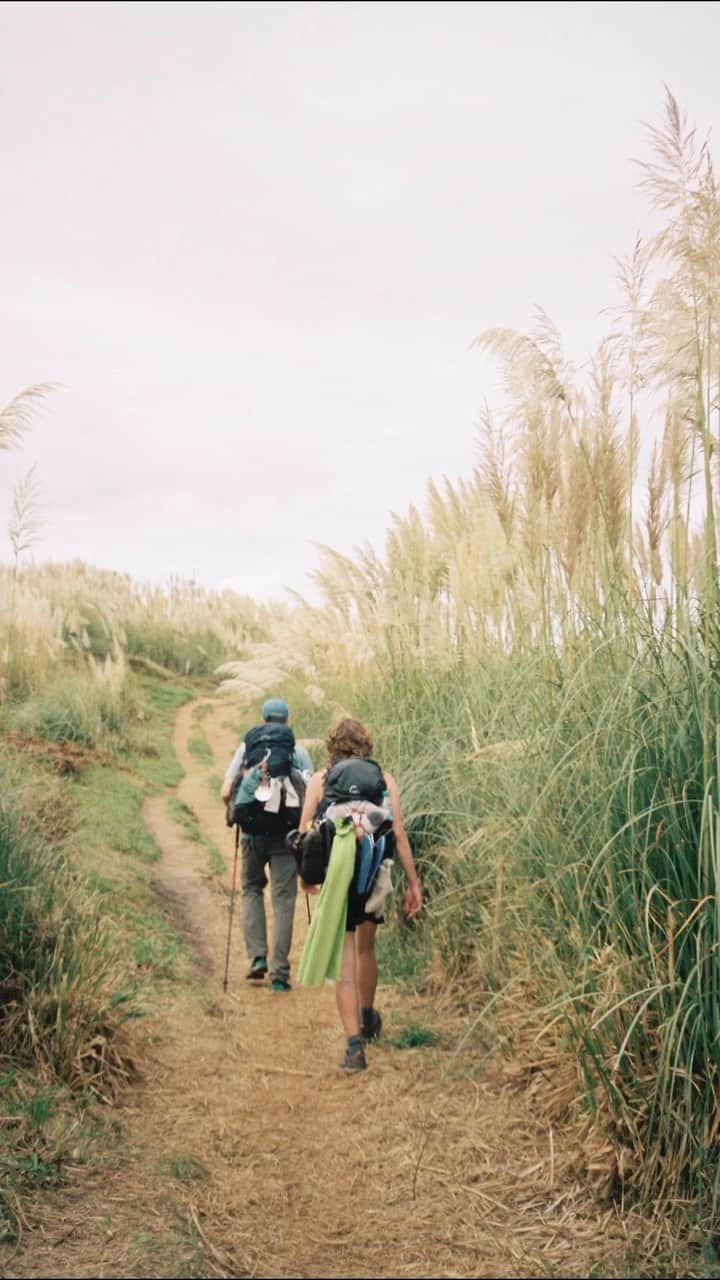 Tevaのインスタグラム：「Film diary: the Camino de Santiago. @p3rf3ctentr0py shares what it’s like to hike for almost 30 days across Northern Spain. Tap the link in bio for gear tips and stories behind the film photos.」
