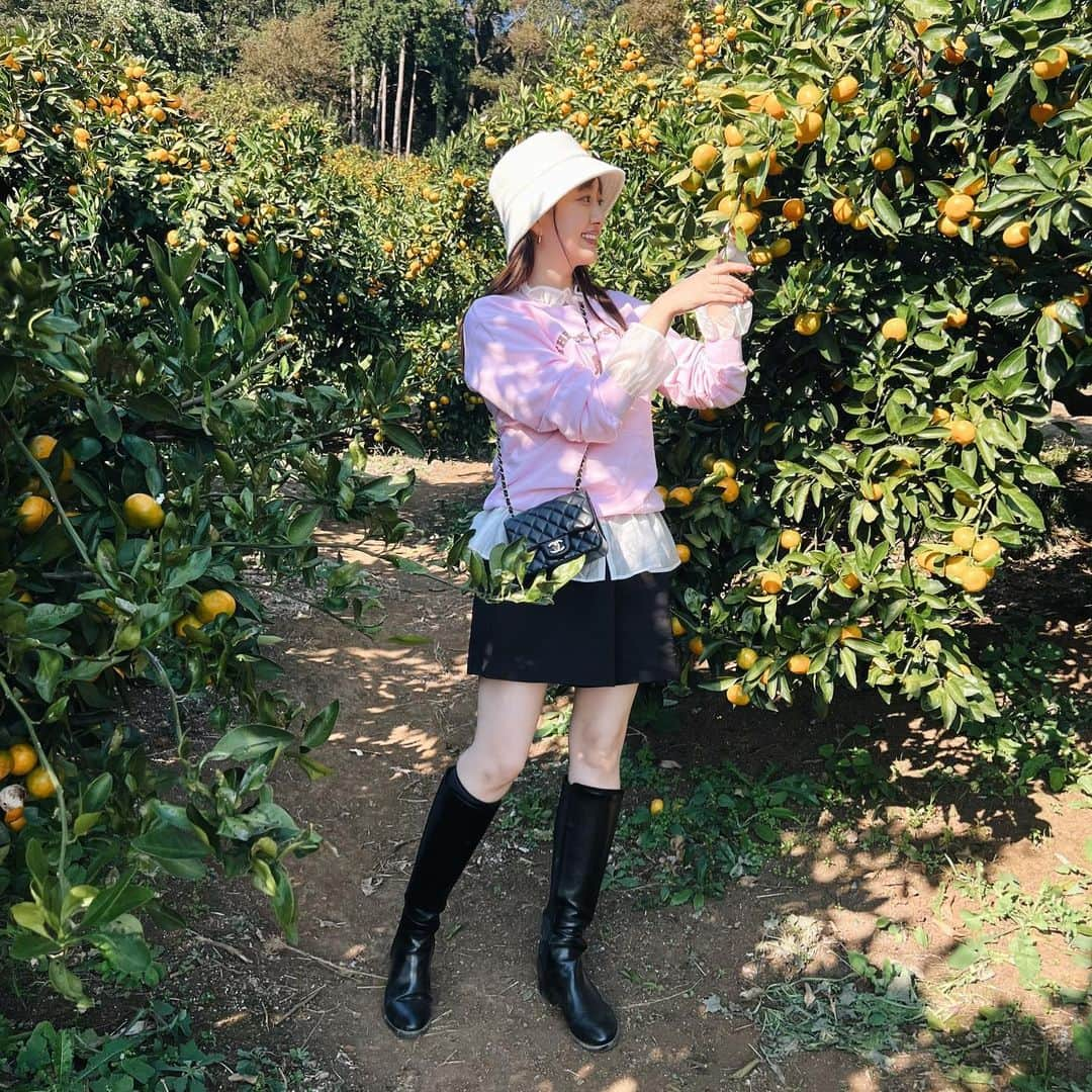 菊地亜美さんのインスタグラム写真 - (菊地亜美Instagram)「. みかん狩りに行った時の🍊 スウェットは、ふらっと入ったお店で好きなブランドの姉妹ブランドと知った @collage.official 🍑 みかん狩りなんだからスニーカー一択でしょ！ という感じですが、 @hiand_official のこのブーツ本当に履きやすくて。 山を上り下りしても全く疲れなかった♡ 土も帰ってきて濡れたタオルで拭けば綺麗になったし、ブラウンも愛用中🍂  #thankyou #hiand #ハイアンド」10月30日 16時53分 - amikikuchi0905