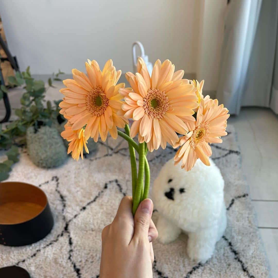 村濱遥のインスタグラム