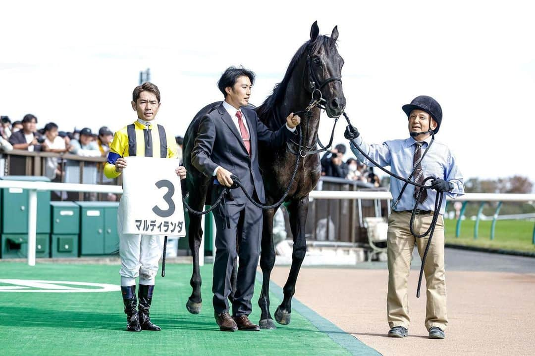 netkeibaさんのインスタグラム写真 - (netkeibaInstagram)「ㅤㅤㅤㅤㅤㅤㅤㅤㅤㅤㅤㅤ ㅤㅤㅤㅤㅤㅤㅤㅤㅤㅤㅤㅤ ✩ 先週達成された記録🏅🏆  10/29 東京6R #戸崎圭太 →JRA年間100勝達成 ㅤㅤㅤㅤㅤㅤㅤㅤㅤㅤㅤㅤㅤㅤ おめでとうございます🎊㊗ ㅤㅤㅤㅤㅤㅤㅤㅤㅤㅤㅤㅤㅤㅤㅤ #instahorse #horsetagram #thoroughbred #horseracing #horse #horseofinstagram #keiba #競馬 #instagood #horseman #騎手 #jockey #マルディランダ ㅤㅤㅤㅤㅤㅤㅤㅤㅤㅤㅤㅤㅤㅤ 撮影：下野雄規」10月30日 15時24分 - netkeiba