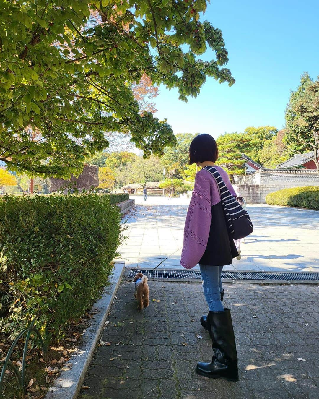 ユン・セアさんのインスタグラム写真 - (ユン・セアInstagram)「💜 #뽀그리야🐶🐾의하루」10月30日 15時54分 - loveyoonsea