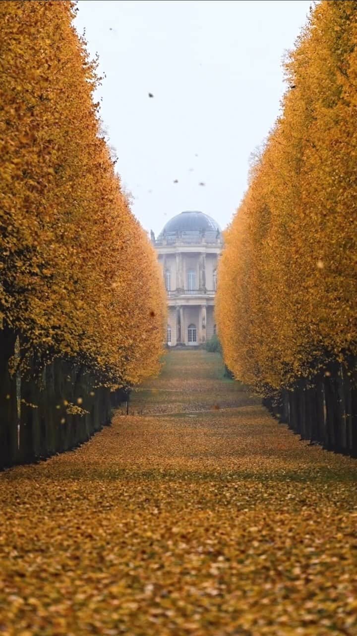 Thomas Kakarekoのインスタグラム：「[we’ll meet again] - Returning to this place again and again, there’s something undeniably special about it. #potsdam」