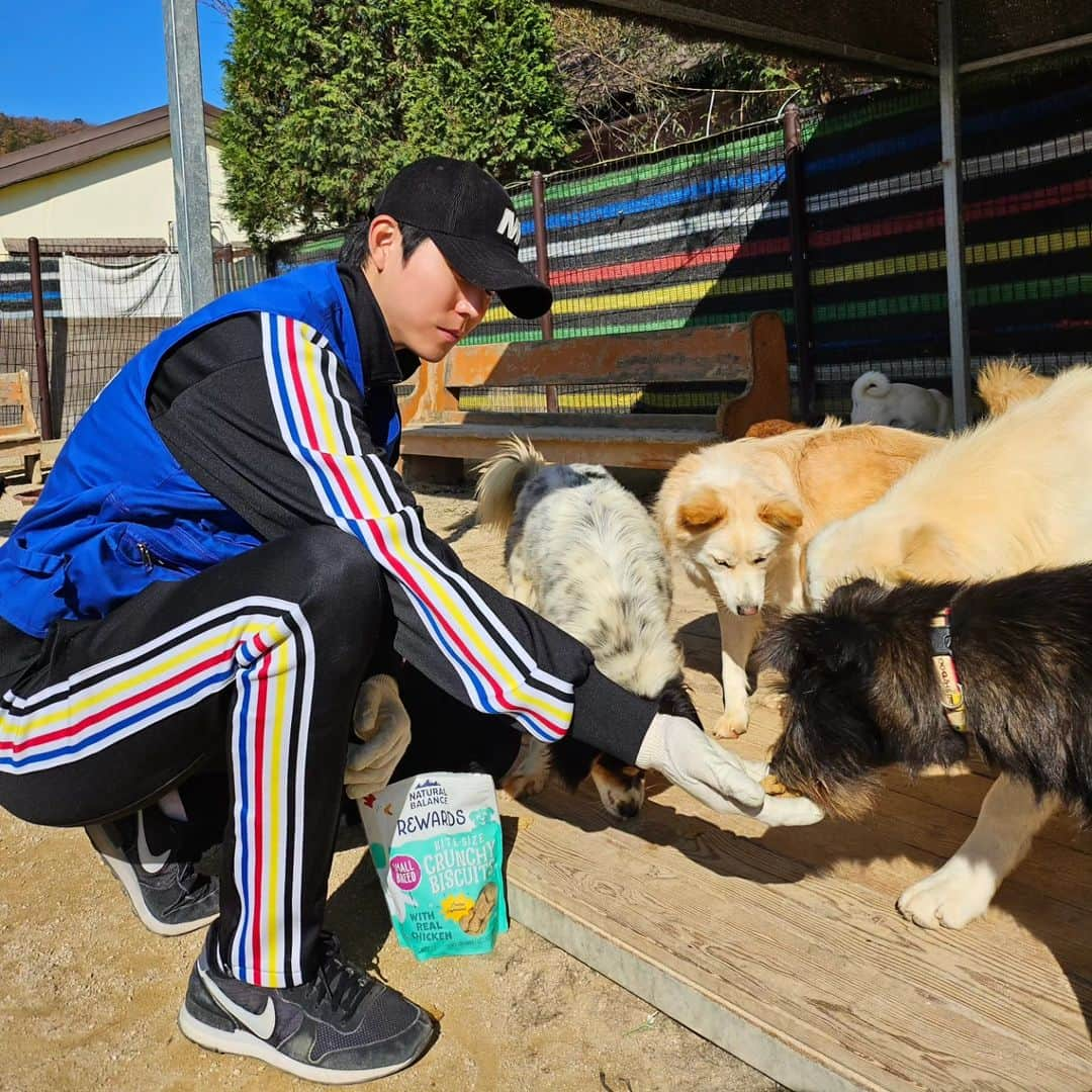 シン・ジフンさんのインスタグラム写真 - (シン・ジフンInstagram)「나사토 작업 열심히하고 애들이랑 놀아주기 🐶  반려동물을 사랑해주세요😍  #블루엔젤봉사단 #레인보우쉼터 #코리안독스 #네추럴발란스」10月30日 16時12分 - sj_hooon