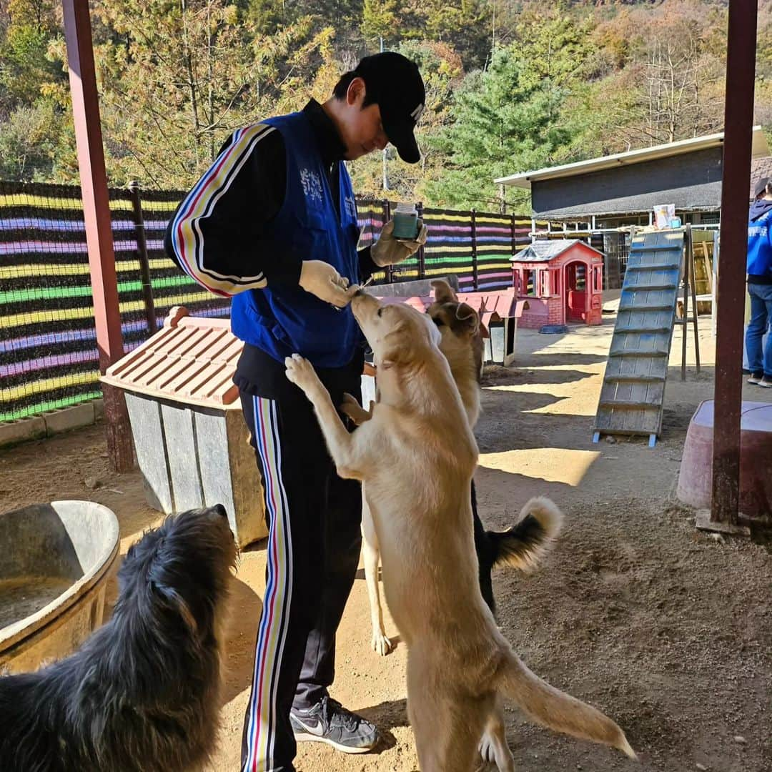 シン・ジフンさんのインスタグラム写真 - (シン・ジフンInstagram)「나사토 작업 열심히하고 애들이랑 놀아주기 🐶  반려동물을 사랑해주세요😍  #블루엔젤봉사단 #레인보우쉼터 #코리안독스 #네추럴발란스」10月30日 16時12分 - sj_hooon