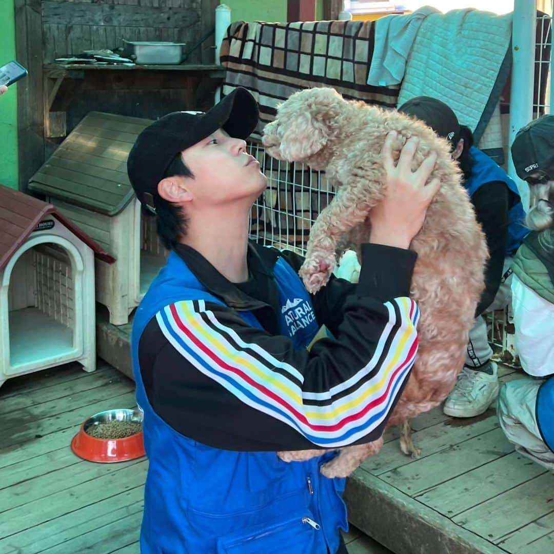 シン・ジフンのインスタグラム：「나사토 작업 열심히하고 애들이랑 놀아주기 🐶  반려동물을 사랑해주세요😍  #블루엔젤봉사단 #레인보우쉼터 #코리안독스 #네추럴발란스」