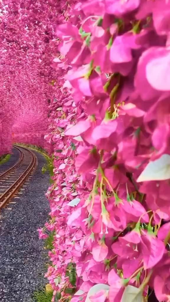 Awesome Wonderful Natureのインスタグラム