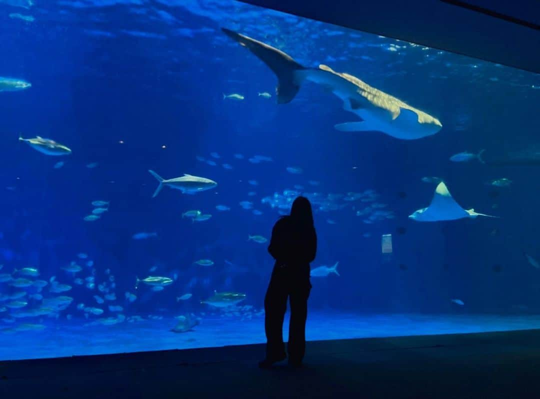 大澤実音穂のインスタグラム：「🦈💧」