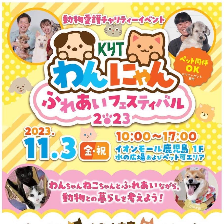 のインスタグラム：「11月3日は 鹿児島へ行かせていただきます🐕🌺🐈  宮古島セーブザアニマルズのシェルターについてや 今まで行ってきた活動、 そして、これから。5時間ぐらい喋りたい内容を 1時間にぎゅっとお話させて頂きます😆🫰💓  チャリティグッズ販売ももちろんあります！  皆様のお越しお待ちしております🌺🤍」
