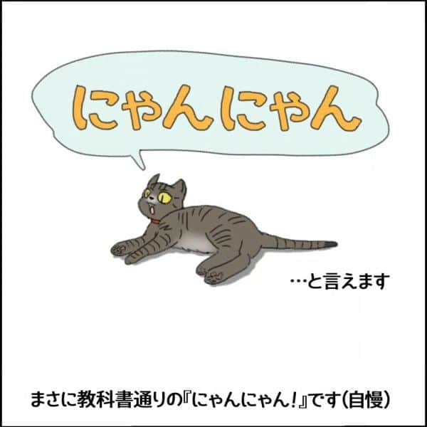 末丸アキさんのインスタグラム写真 - (末丸アキInstagram)「お宅のワンちゃん、ネコちゃんはどんなハロウィンの仮装してる？  #夫婦日常 #夫婦漫画 #夫婦マンガ #夫婦ふたり暮らし #日常絵日記 #日常生活 #日常マンガ #日常ブログ #のんびり #のんびり夫婦 #ライブドアインスタブロガー #ライブドア公式ブロガー #絵日記 #イラストエッセイ」10月30日 8時12分 - suemaru_aki