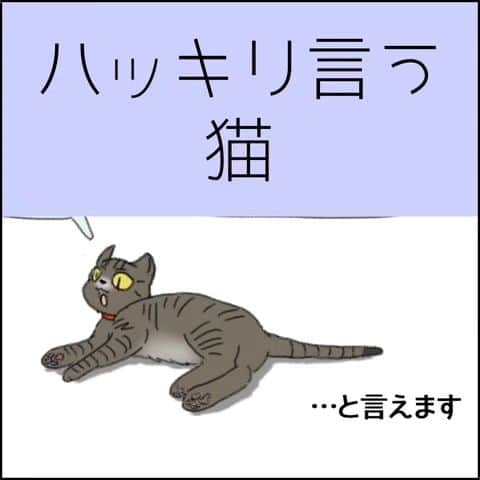 末丸アキのインスタグラム：「お宅のワンちゃん、ネコちゃんはどんなハロウィンの仮装してる？  #夫婦日常 #夫婦漫画 #夫婦マンガ #夫婦ふたり暮らし #日常絵日記 #日常生活 #日常マンガ #日常ブログ #のんびり #のんびり夫婦 #ライブドアインスタブロガー #ライブドア公式ブロガー #絵日記 #イラストエッセイ」