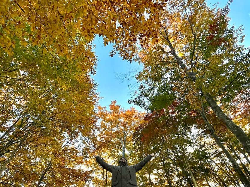依田司さんのインスタグラム写真 - (依田司Instagram)「10月30日（月） 山形県朝日町の「空気神社」から。空気の神様を祀る世界でも珍しい唯一無二の神社です。お参りの作法も独特。4拍手や深呼吸を取り入れています。周囲のブナが黄色やオレンジに色づき、本殿に鏡写しとなり幻想的。見頃は来月中旬まで。 朝日町は寒暖差のある気候で、リンゴやブドウの栽培に適しています。 特産品のリンゴは今が旬で絶品。滞在期間中、幾つも食べてしまいました。各農家さんの作ったリンゴジュースも何十種類とあり、選ぶのが楽しい。 また、ワイナリーまであり、G7伊勢志摩サミットでは、朝日町のワインが各国首脳に振る舞われました。お値段も一本2000円ほどとお手頃価格。これは飲むしか。  #空気神社 #依田さん #依田司 #お天気検定 #テレビ朝日 #グッドモーニング #気象予報士 #お天気キャスター #森林インストラクター #グリーンセイバーアドバンス #プロジェクトワイルド #IPCC伝導者 #japan #japantrip #japantravel #unknownjapan #japanAdventure #japanlife #lifeinjapan #instagramjapan #instajapan #療癒 #ilovejapan #weather #weathercaster #weatherforecast」10月30日 8時59分 - tsukasa_yoda