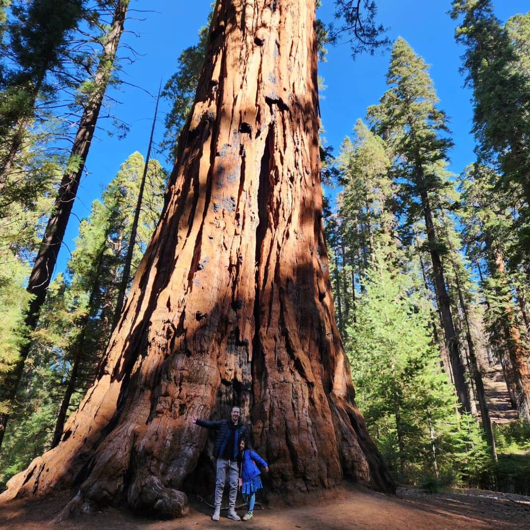 マーク・ザッカーバーグさんのインスタグラム写真 - (マーク・ザッカーバーグInstagram)「Dad-daughter road trip to see the giant sequoias this weekend. Pretty amazing 2000+ year old trees.」10月30日 9時01分 - zuck