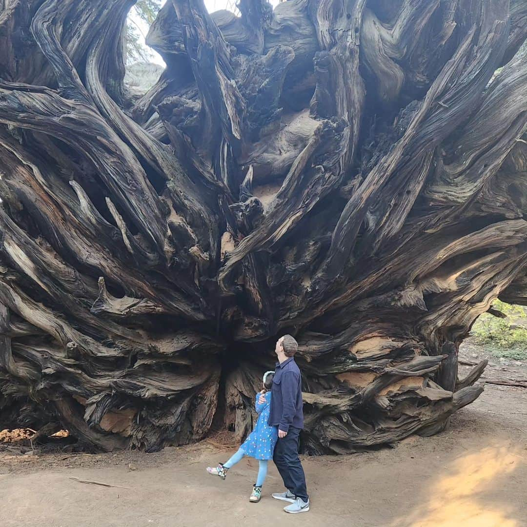 マーク・ザッカーバーグのインスタグラム：「Dad-daughter road trip to see the giant sequoias this weekend. Pretty amazing 2000+ year old trees.」