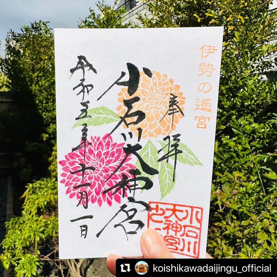 津久井智子さんのインスタグラム写真 - (津久井智子Instagram)「#Repost @koishikawadaijingu_official with @use.repost ・・・ 小石川大神宮です。  11月1日（水）から頒布の御朱印のご案内です。  色鮮やかなダリアです。  和名は、花の形がボタンに似ているため、テンジクボタン（天竺牡丹）と呼ばれています。  華やかなかわいいボール咲きの ダリアを、消しゴムハンコ作家の津久井智子さんに彫っていただきました。  澄んだ青空の下では、秋の花も鮮やかに映えますね。  皆さまのご参拝を心よりお待ちしております。  #小石川大神宮#伊勢の遙宮 #お伊勢さん#御朱印 #文京区神社#神明造 #東京御朱印巡り#御朱印好きな人と繋がりたい #小石川大神宮御朱印#御朱印ガール #限定御朱印#カラフル御朱印 #消しゴムハンコ#11月御朱印 #津久井智子#ダリア」10月30日 9時21分 - tomokotsukui