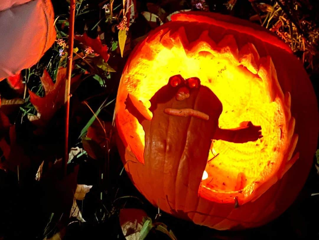 メーガン・デュアメルさんのインスタグラム写真 - (メーガン・デュアメルInstagram)「Lots of fun at the @rbgcanada tonight!!   A really nice pumpkin trail and a midway ride to finish it off! Zoey loved it and Miya kept pointing at pumpkins and wandering away 🙈  #royalbotanicgardens #rbgburlington #pumpkintrail」10月30日 9時43分 - meaganduhamel