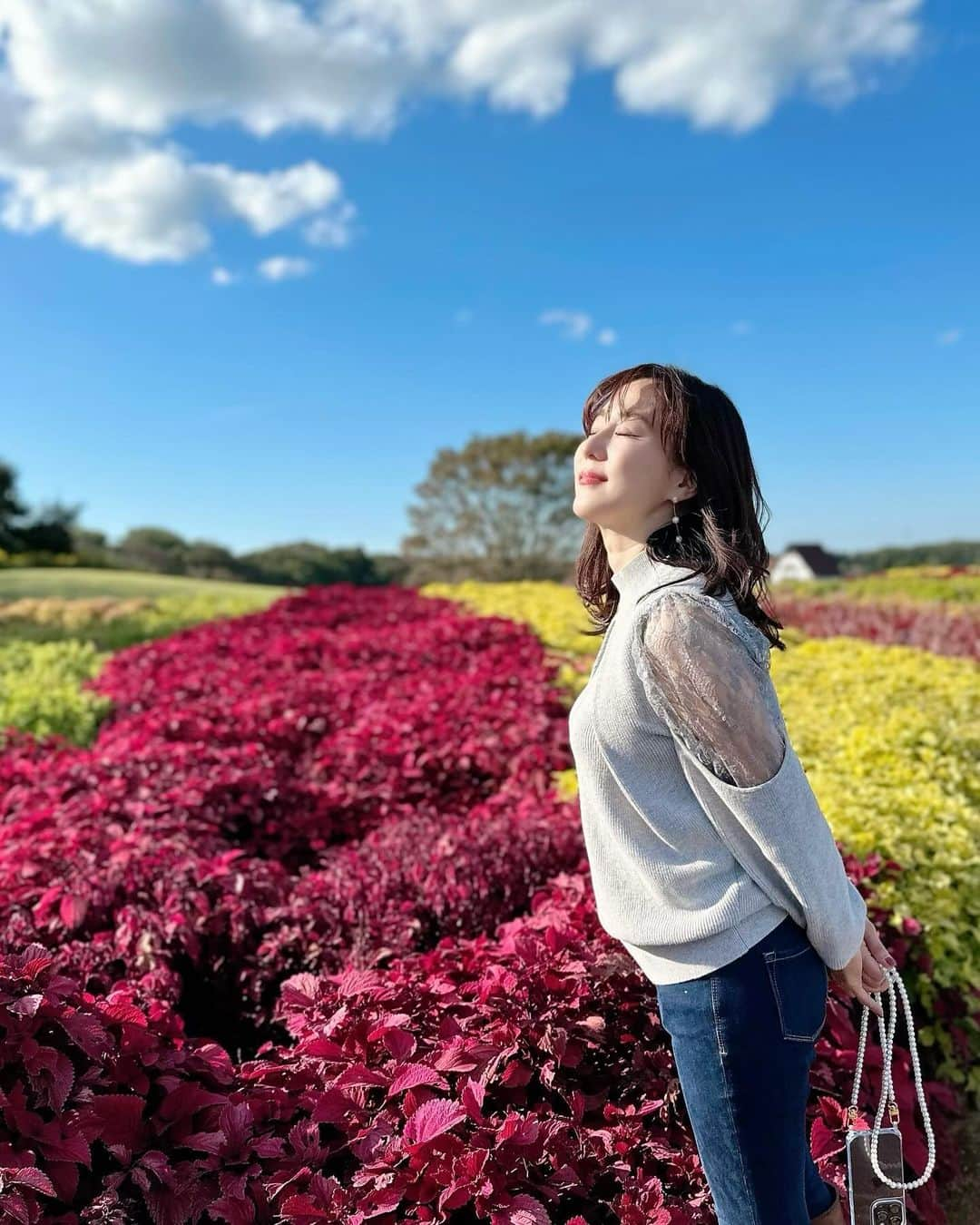 村上麻衣のインスタグラム：「おはようございます。 秋ですね🍂✨  わたしは、美しいところに行ったり 美しいものをみるのが好きです🥰  そして多分この赤いの、紫蘇　だと思う！笑  今週もがんばりましょ〜  #秋#紅葉 ていうの？#紅葉スポット #東京ドイツ村 #ドイツ村 #紅葉狩り #自然#綺麗 #beautiful #autumn」