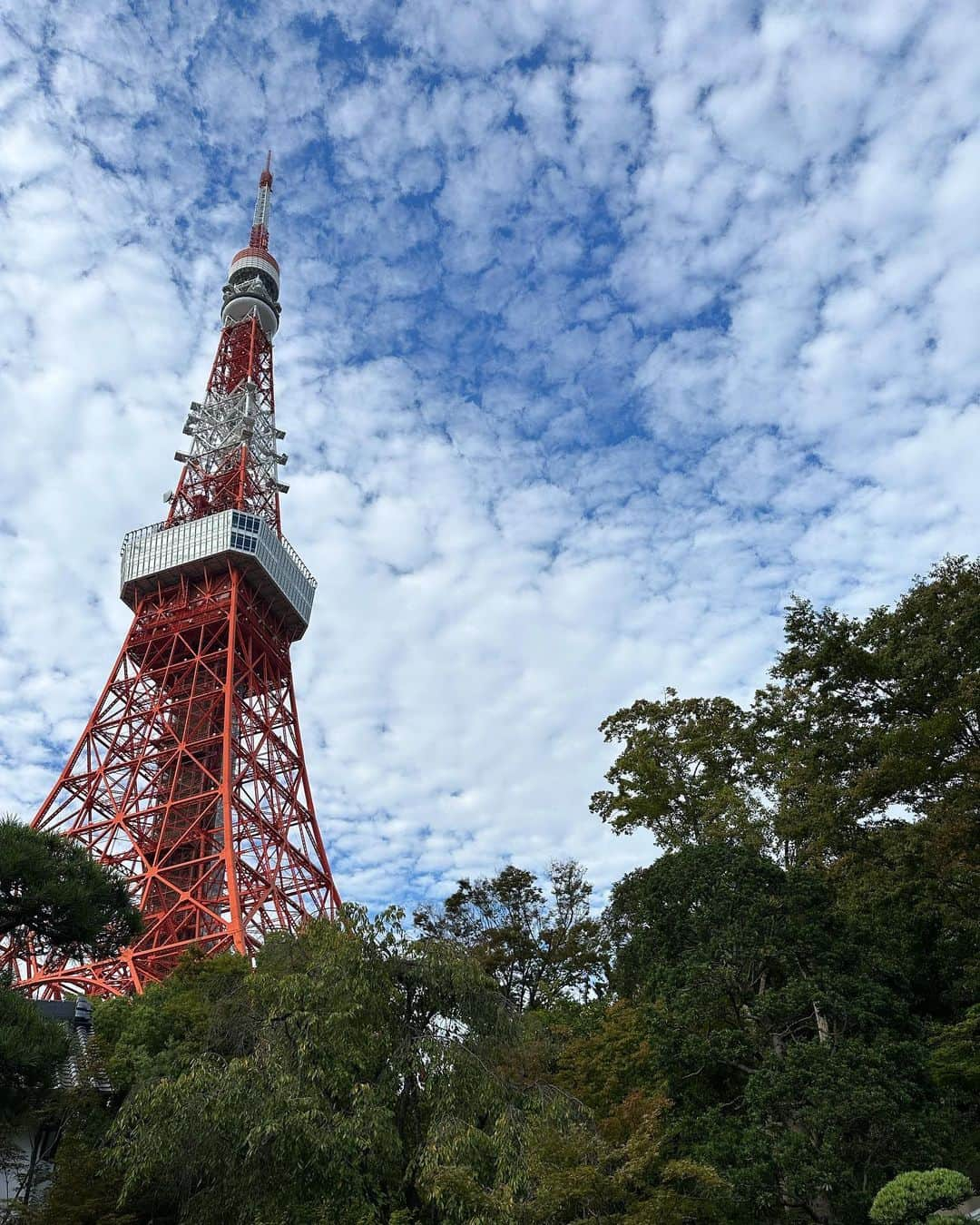 石川梨華さんのインスタグラム写真 - (石川梨華Instagram)「七五三✨  先日　@ukaishiba  さんにて 家族で七五三の撮影をしました！ 素敵なお庭で、兄弟それぞれが選んだ袴を着て 私は友人に借りたお着物を✨ 久しぶりにお着物着れて嬉しかった💓  撮影後は美味しいお食事を頂きました😋 素敵な庭園を見ながらのお食事も最高でした❗️  あっという間に長男も5歳です👦 二男もあとちょっとで4歳です👦  これからもすくすくと育ってほしいです！  #石川梨華 #モーニング娘og #リアル梨華 #二児の母 #年子やんちゃボーイズ #七五三」10月30日 9時58分 - rika_ishikawa_official