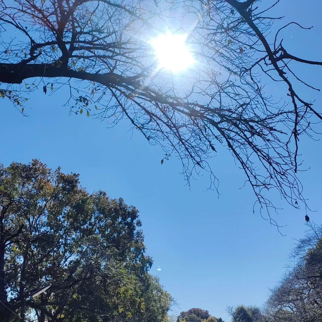 有馬徹さんのインスタグラム写真 - (有馬徹Instagram)「おはようございます。 朝散歩。快晴。太陽が暖かくて助かります。  #朝散歩 #朝のルーティン」10月30日 10時31分 - inuarima