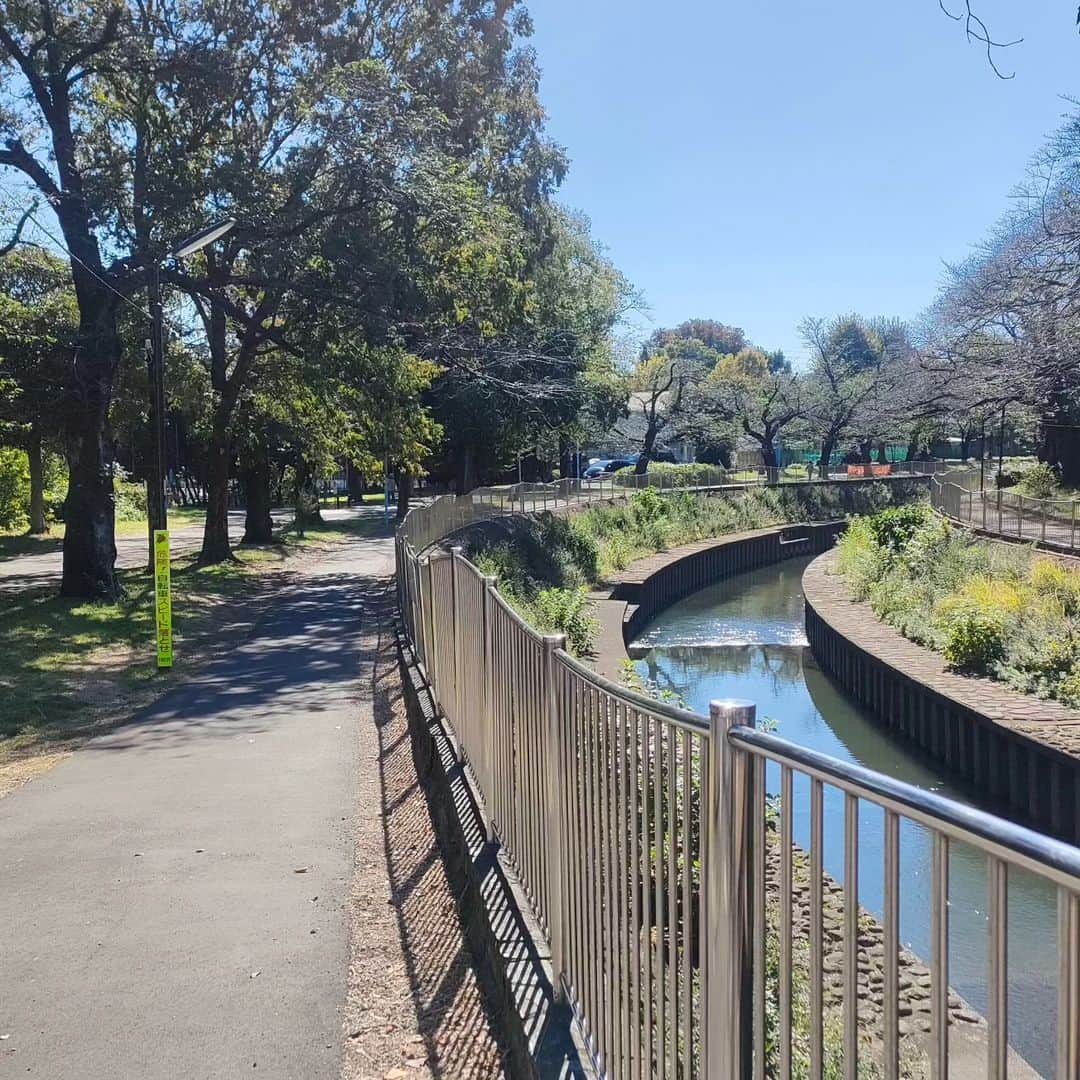 有馬徹さんのインスタグラム写真 - (有馬徹Instagram)「おはようございます。 朝散歩。快晴。太陽が暖かくて助かります。  #朝散歩 #朝のルーティン」10月30日 10時31分 - inuarima