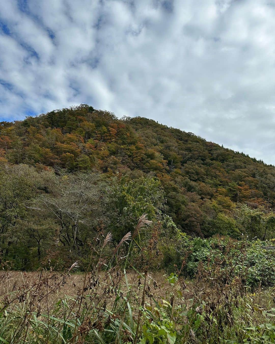 Ami さんのインスタグラム写真 - (Ami Instagram)「︎  宮城県雄勝町にある”海岸線の美術館“  仙台でお仕事だったので、ついでに1泊させてもらい、家族にもついてきてもらって、感謝感謝です✌️✨  Youtubeも撮ったので、編集頑張ってなる早で公開します💻😋‼︎‼︎‼︎  宮城の自然に癒され、エネルギーチャージ完了‼︎🍁」10月30日 10時27分 - ami_dream05